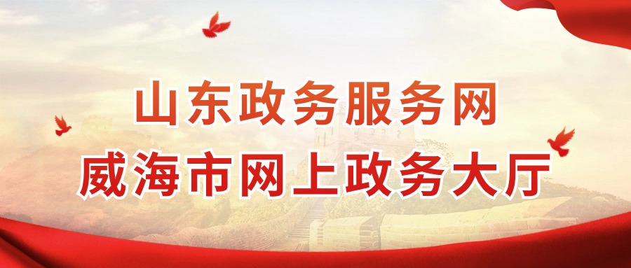 山东政务服务网 威海市网上政务大厅 威海市